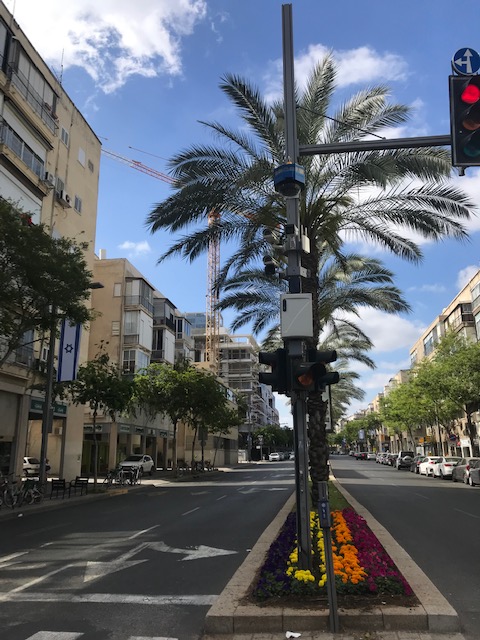 tlv_bäume_khc