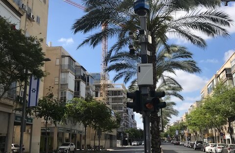 tlv_bäume_khc tlv_bäume_khc