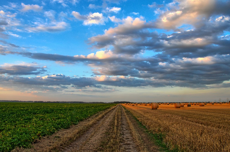 field-213364_960_720
