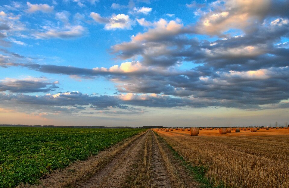 field-213364_960_720