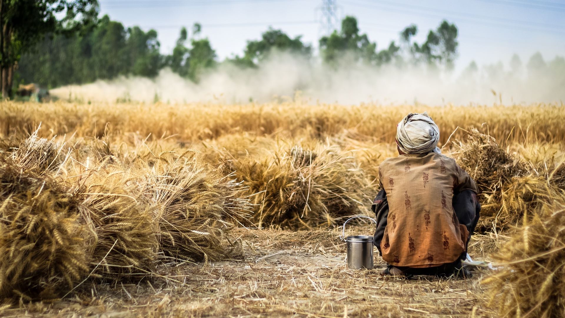 farmer-g9d3c00aac_1920