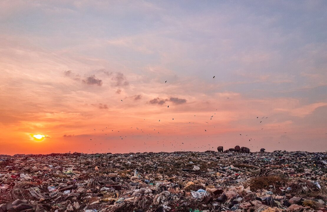 trash-4897847_1280 trash-4897847_1280