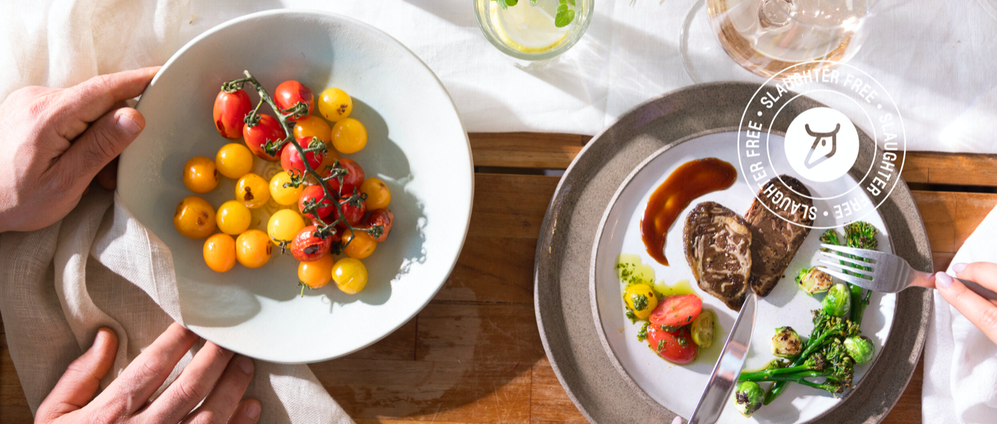 Bildschirmfoto 2021-08-24 um 17.24.05