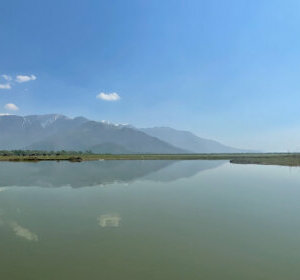 image-534x280.1652260724