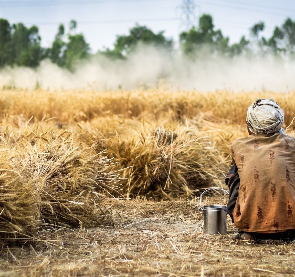 farmer-g9d3c00aac_1920