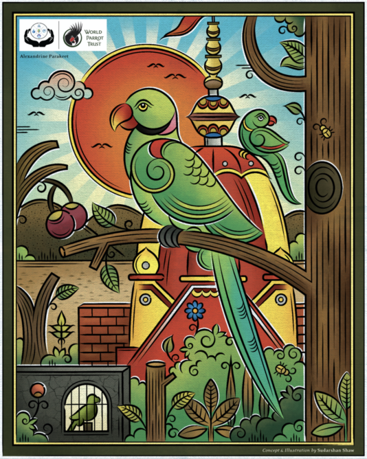 Eines der Gemälde in Shaws Sammlung beleuchtet den weit verbreiteten illegalen Sittichhandel in Odisha. Das Kunstwerk nutzt die Größe des Vogels als Symbol und veranschaulicht, wie der Glaube und die Interaktion mit dem Sittich sein Image beeinflussen.